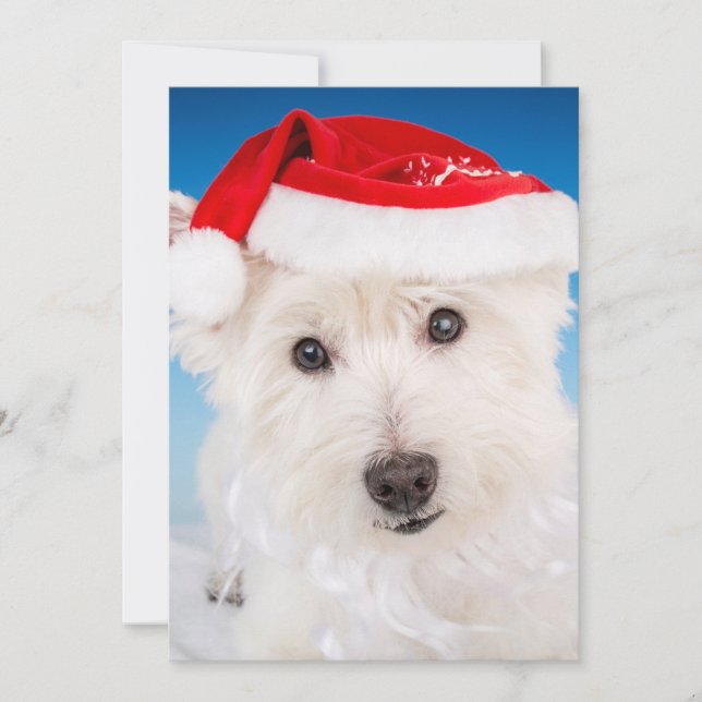 Tarjeta Festiva Westie con Santa Hat y barba (Anverso)