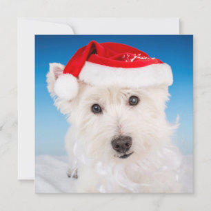 Tarjeta Festiva Westie con Santa Hat y barba
