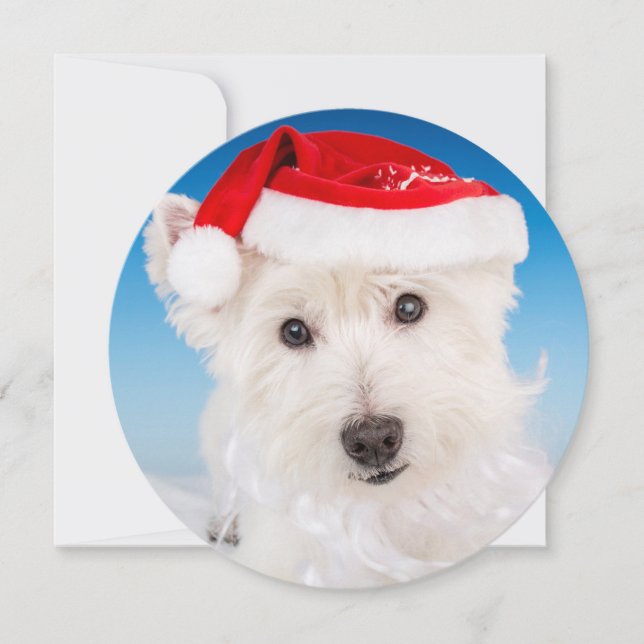 Tarjeta Festiva Westie con sombrero y barba de Santa (Anverso)