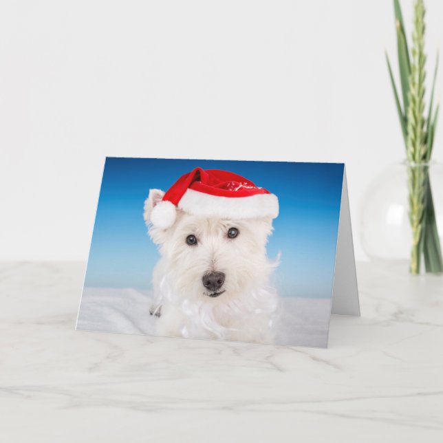 Tarjeta Festiva Westie con sombrero y barba de Santa (Anverso)