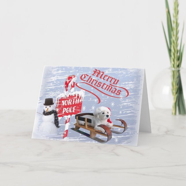 Tarjeta Festiva Westie @ El Polo Norte (Anverso)