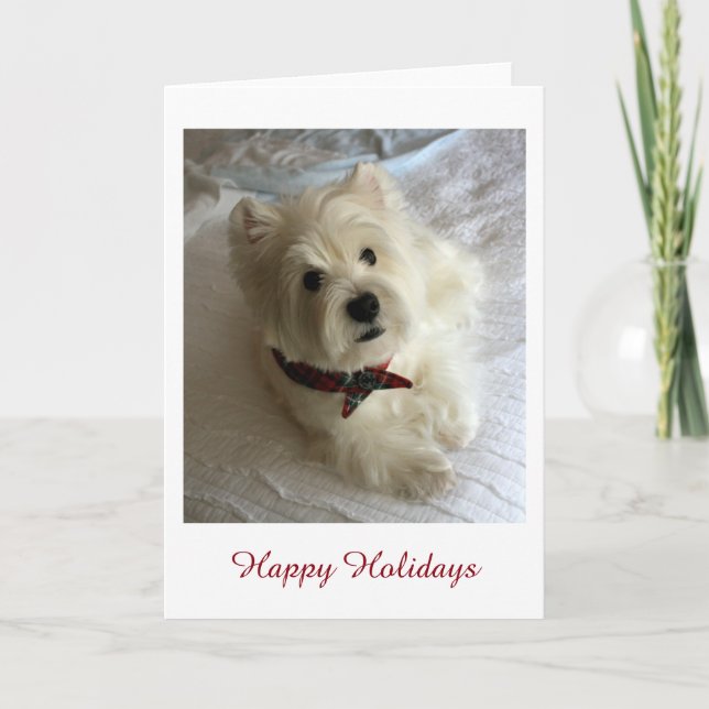 Tarjeta Festiva Westie Holiday (Anverso)