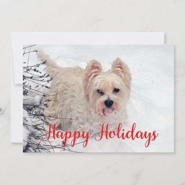 Tarjeta Festiva Westie in the Snow Happy Holidays Card (Anverso)