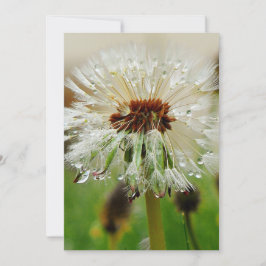Tarjeta Festiva Wet Dandelion