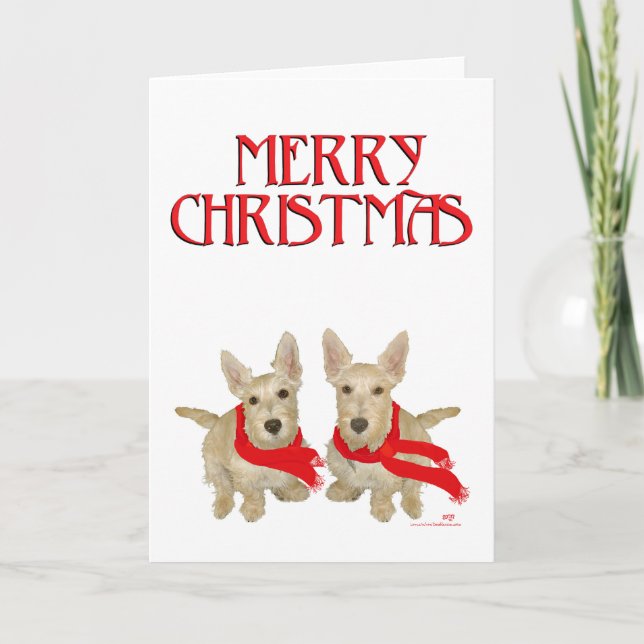Tarjeta Festiva Wheaten Scottish Terrier Chirstmas (Anverso)