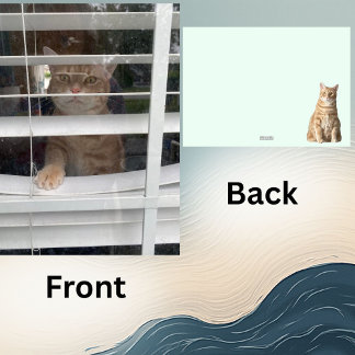 Tarjeta Festiva Where's Mom, Starring Taz the Cat- 5 x 7 Flat Card