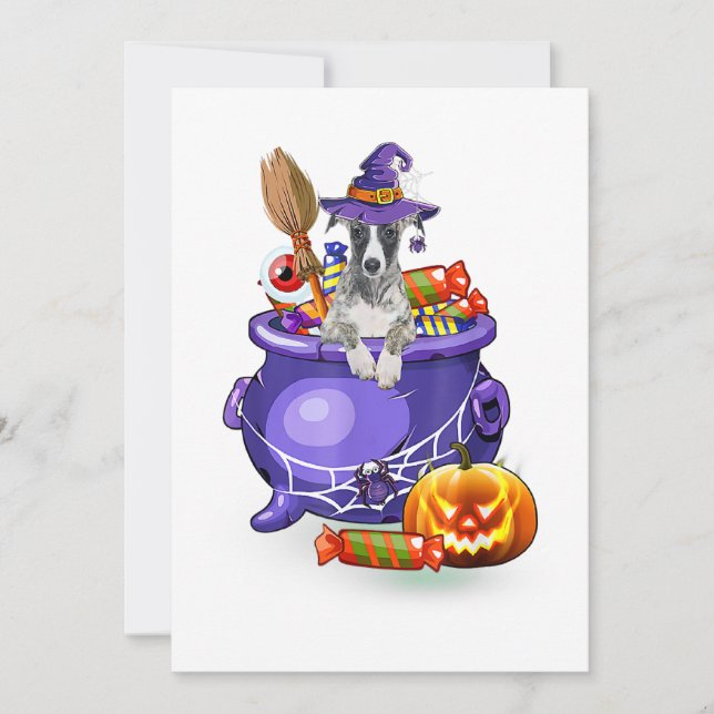 Tarjeta Festiva Whippet Dog with witch hat Candy Pumpkin Halloween (Anverso)