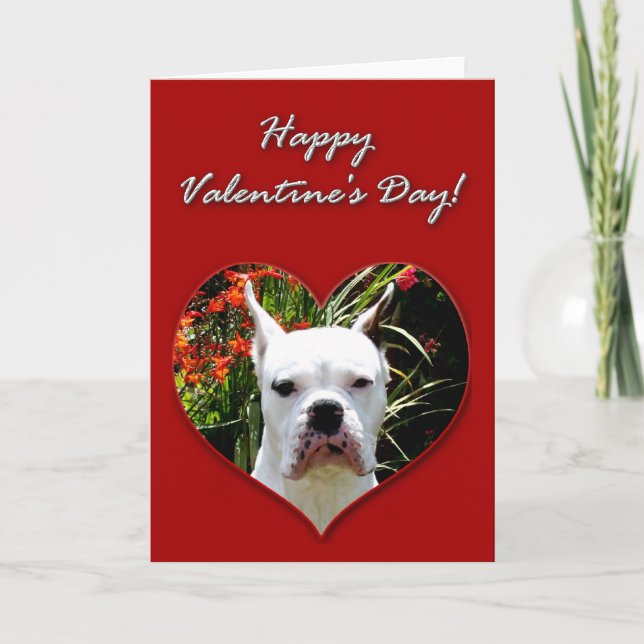 Tarjeta Festiva White Boxer Valentines Day Card (Anverso)