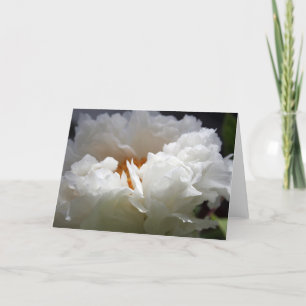 Tarjeta Festiva White Peony 1 Floral Photography Greeting C