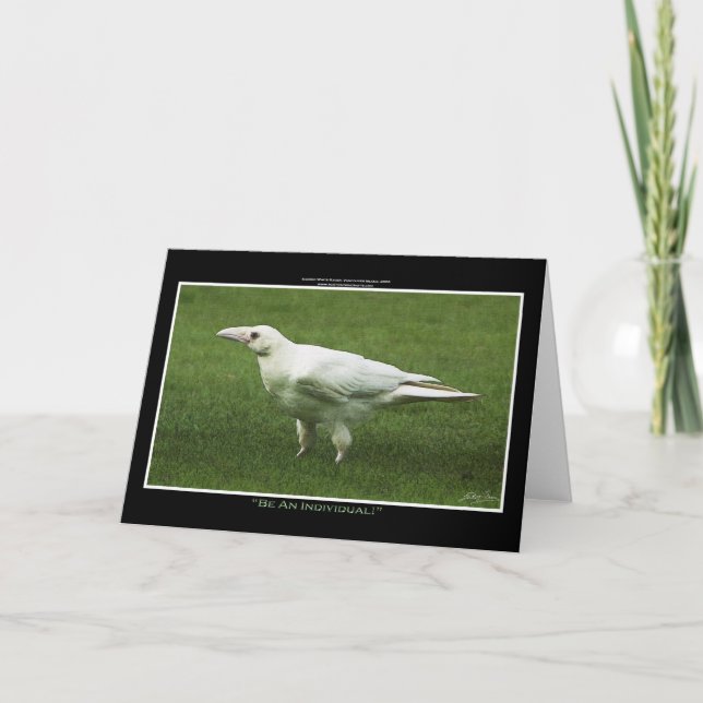 TARJETA FESTIVA WHITE RAVEN (Anverso)