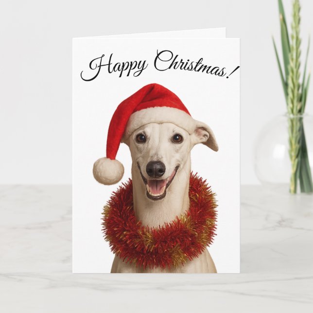 Tarjeta Festiva White whippet in Santa hat Christmas Holiday card (Anverso)