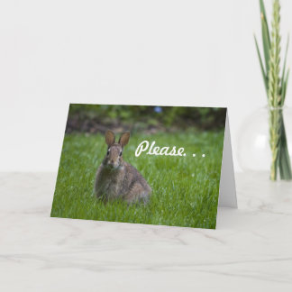 Tarjeta Festiva Wild Bunny Valentine