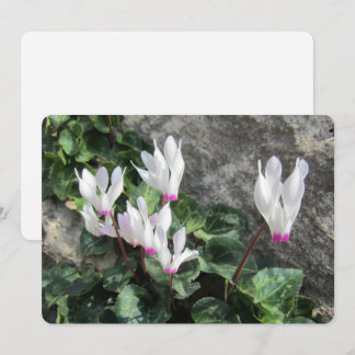 Tarjeta Festiva Wild Flowers Flat Holiday Card