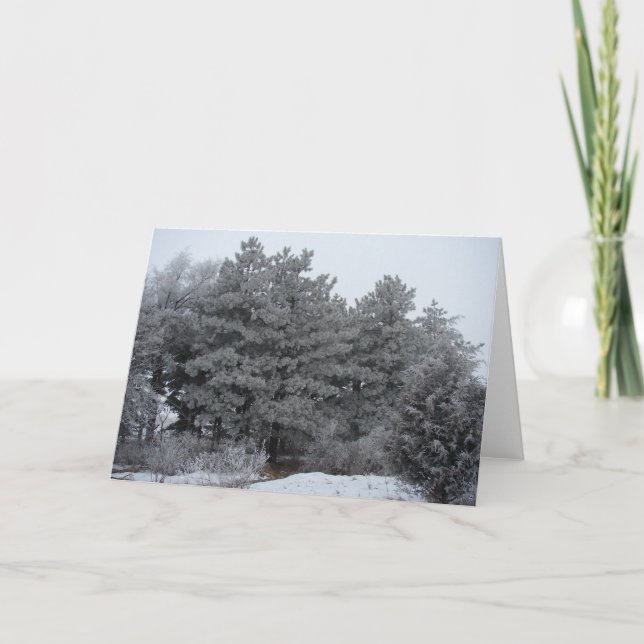 Tarjeta Festiva Winsty Wonderland (Anverso)