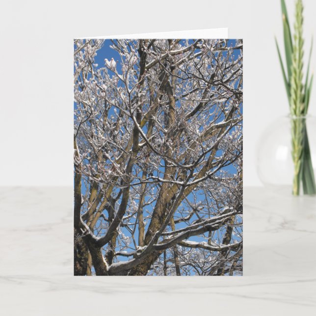 Tarjeta Festiva Winter ~ 26 (Anverso)