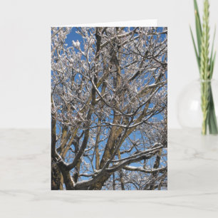 Tarjeta Festiva Winter ~ 26