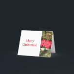 Tarjeta Festiva Winter Magic<br><div class="desc">Saludos de Navidad</div>