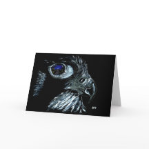 Winter Peregrine Tradicional sin texto frontal