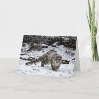 Tarjeta Festiva Winter Snow Leopard Cub
