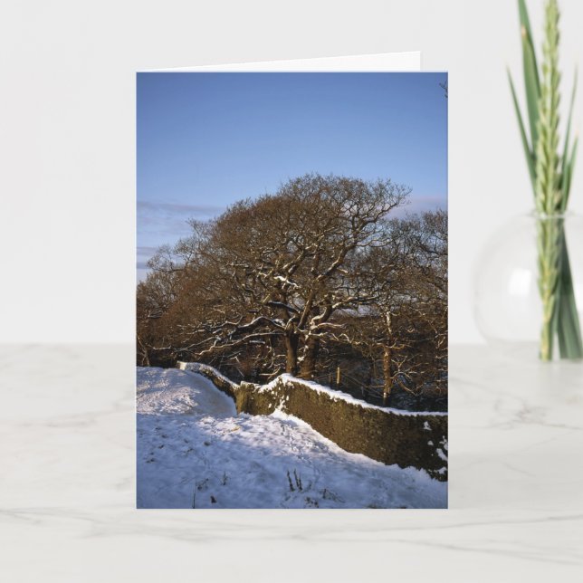 Tarjeta Festiva Winter Tree Lyme Handley Cheshire (Anverso)