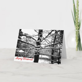 Tarjeta Festiva Winter v.2 [Tarjeta de Navidades]