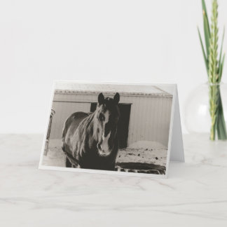 Tarjeta Festiva Winter Willy