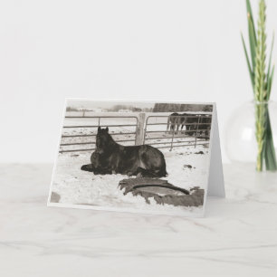 Tarjeta Festiva Winter Wonder