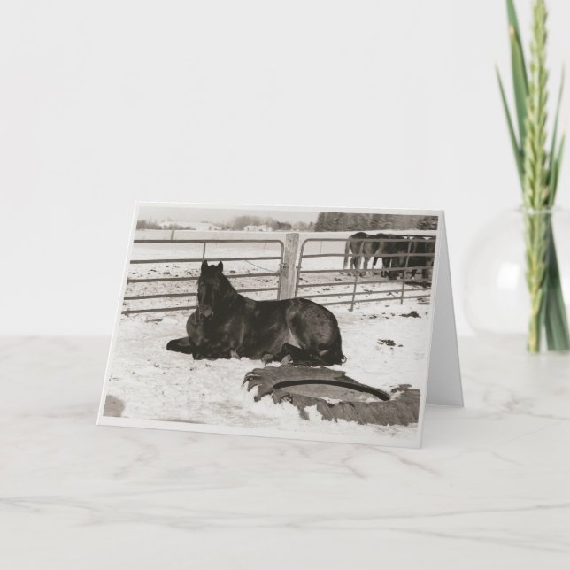 Tarjeta Festiva Winter Wonder (Anverso)