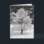 Tarjeta Festiva Winter wonderland<br><div class="desc">Árbol solitario delineado en toda la perfección de la naturaleza por la nieve,  puesto sobre un fondo de abeto cubierto de nieve</div>
