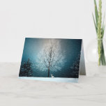 Tarjeta Festiva Winter Wonderland con conejo<br><div class="desc">El invierno es un maravilloso país y conejo con árboles verdes y árboles desnudos cubiertos de nieve.  Navidades de la temporada de paisaje con naturaleza.  frontiernow.com</div>