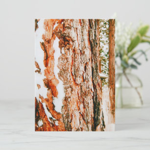 Tarjeta Festiva Winter Wonderland en Bend - Oregón