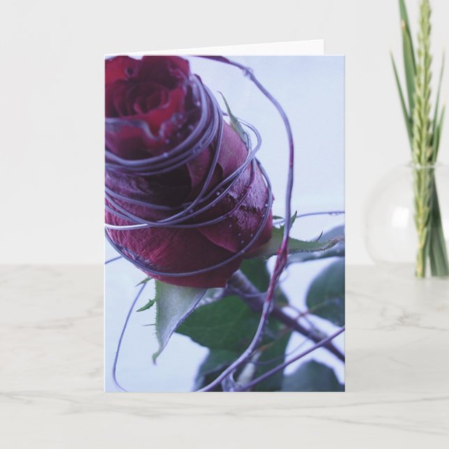 Tarjeta Festiva Wired (Anverso)