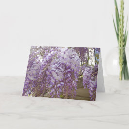 Tarjeta Festiva Wisteria francesa