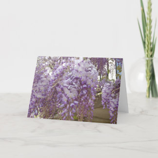 Tarjeta Festiva Wisteria francesa