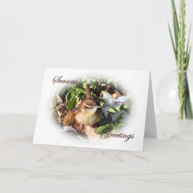 Tarjeta Festiva Wren de invierno (Anverso)