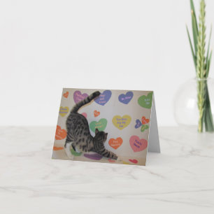 Tarjeta Festiva Wyatt La Conversación Del Gato Corre A San Valentí