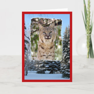 Tarjeta Festiva xmas-bobcat-20
