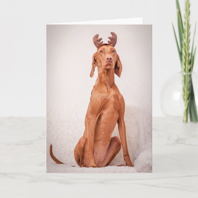 Tarjeta Festiva Xmas Card/Christmas Card “Magyar Vizsla " (Anverso)