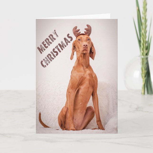 Tarjeta Festiva Xmas Card/Christmas Card “Magyar Vizsla " (Anverso)