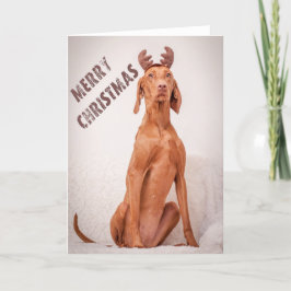 Tarjeta Festiva Xmas Card/Christmas Card “Magyar Vizsla "