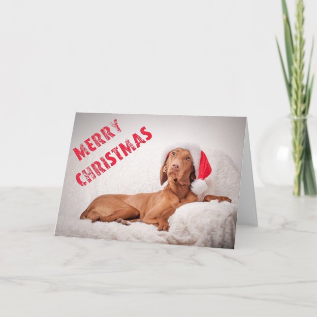 Tarjeta Festiva Xmas Card/Christmas Card “Magyar Vizsla " (Anverso)