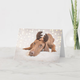 Tarjeta Festiva Xmas Card/Christmas Card “Magyar Vizsla "