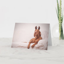 Xmas Card/Christmas Card “Magyar Vizsla "