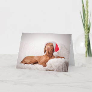 Tarjeta Festiva Xmas Card/Christmas Card “Magyar Vizsla "