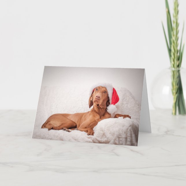 Tarjeta Festiva Xmas Card/Christmas Card “Magyar Vizsla " (Anverso)