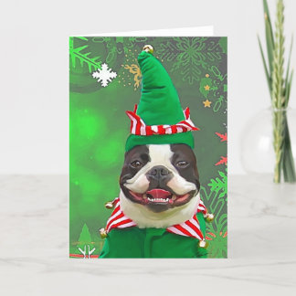 Tarjeta Festiva Xmas Elf