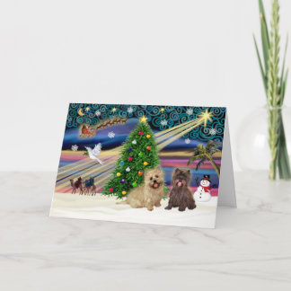 Tarjeta Festiva Xmas Magic-Cairn Pair-wheatn+giro romano