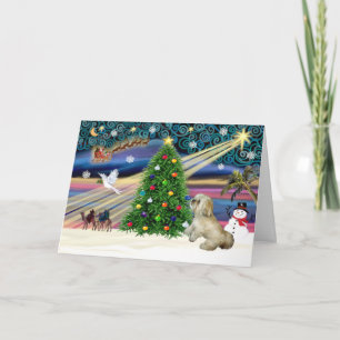 Tarjeta Festiva Xmas Magic-Lhasa-Roxy