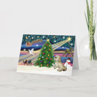 Tarjeta Festiva Xmas Magic-Lhasa-Roxy