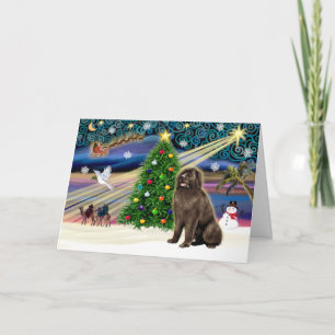 Tarjeta Festiva Xmas Magic-Newfie brownsit